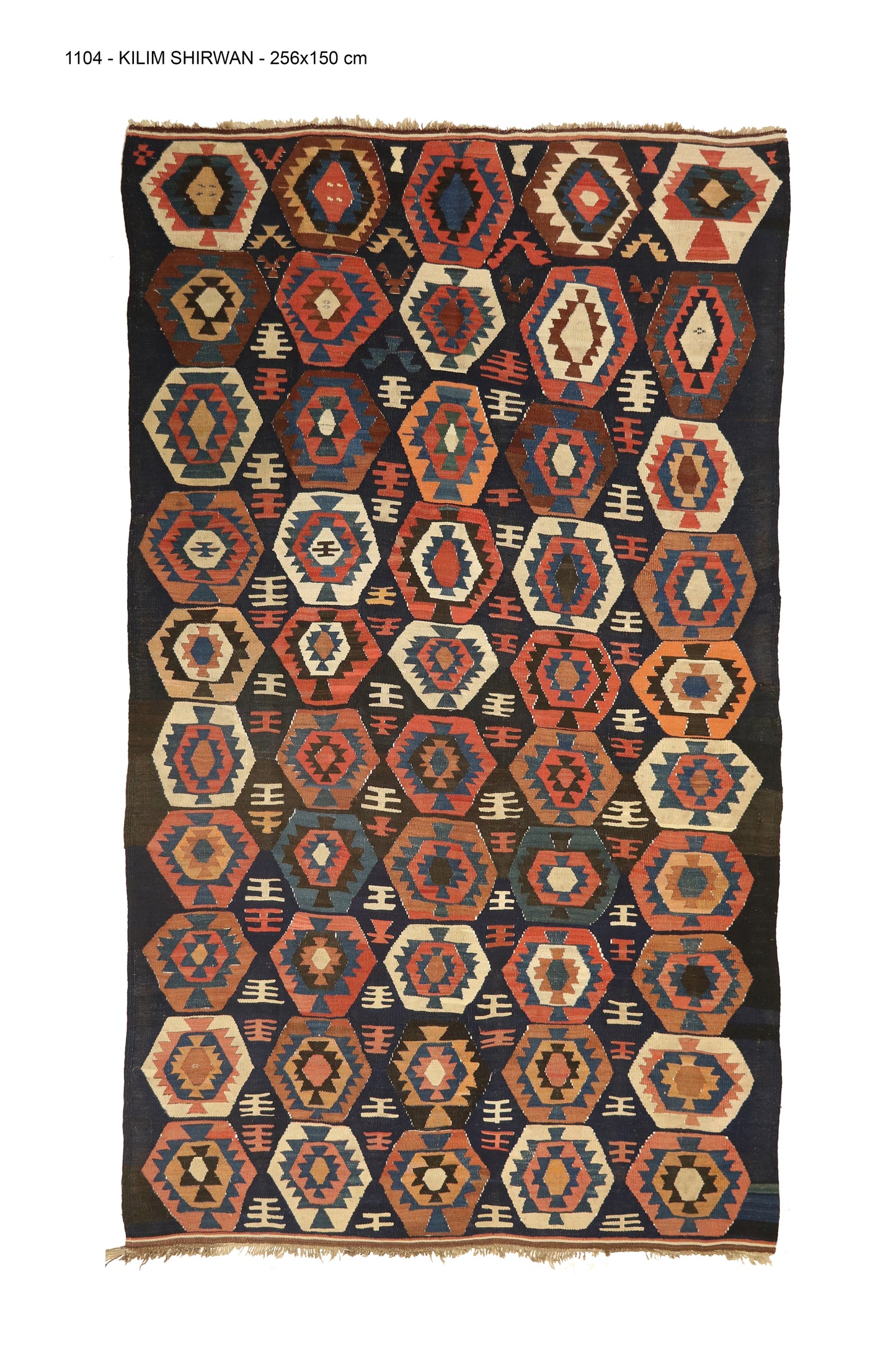 M1104 - kilim Shirwan