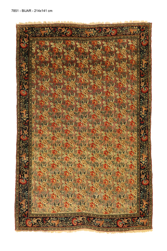 M7851-BIDJAR