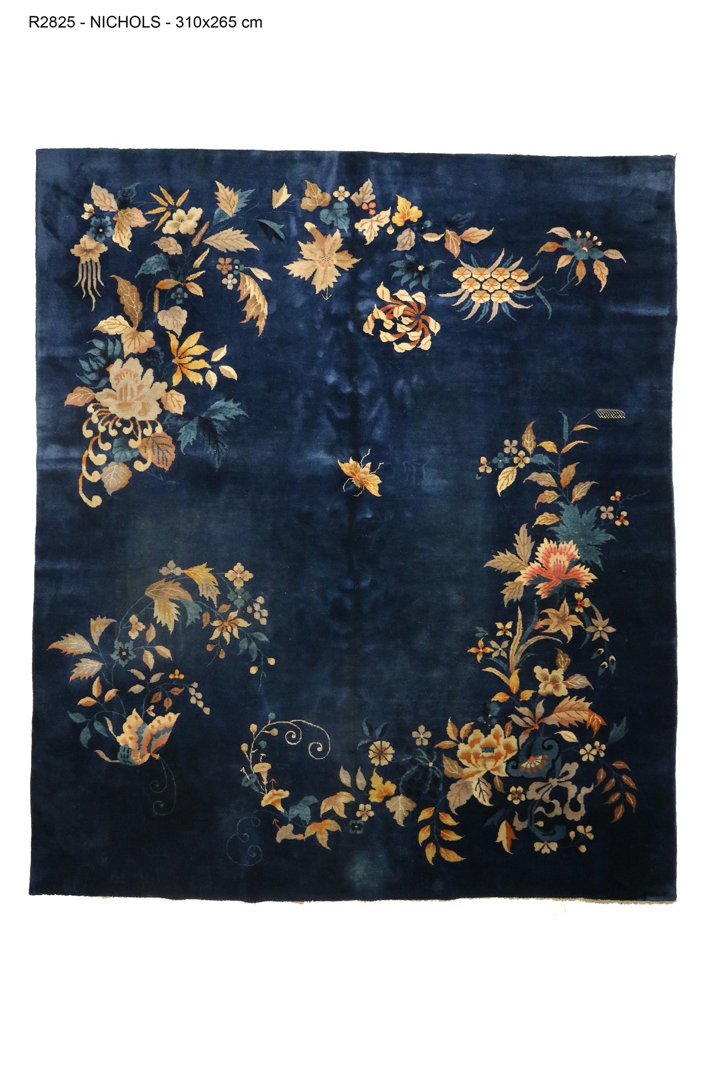 R2825- NICHOLS